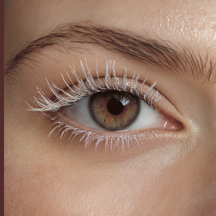 White Lash Primer