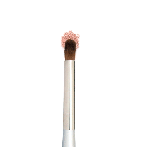 Contour Shadow Brush